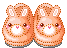  bunny slippers