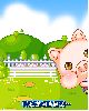 little pig in love