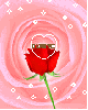 i love you : rose