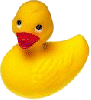 yellow rubber duckie