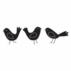 BLACK BIRDS