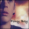 ponyboy