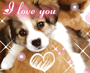 love puppy