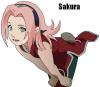 Sakura!!