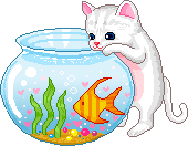 KITTY