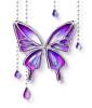 blue and violet colored butterfly