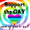 Support Gay Marriages