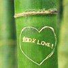 Love_bamboo