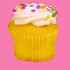 I Just Love CupCakes