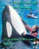 Orca trainer Dream