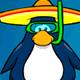 Penguin with sombrero