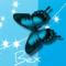 blue butterfly bex