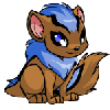 cute neopet pictures