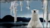 Polar bear watching his home melt away - Global Warming