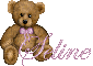 Teddy Bear - Seline