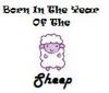 Born In Year Of Sheep