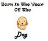Born In Year Of Dog