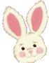 cute bunny face