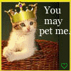 You May Pet me