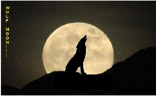 Howling Wolf