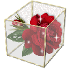 Rose Glass Box