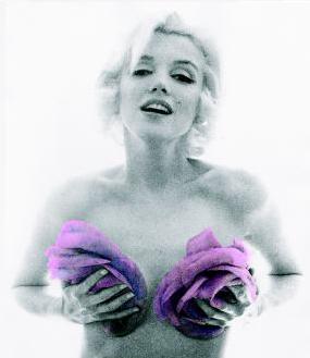 marilyn monroe roses